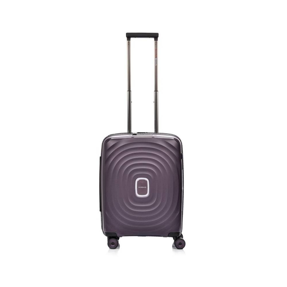 SwissBags Echo Cabin Case 16578