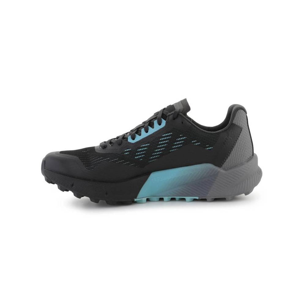 Avalynė adidas Terrex Agravic Flow 2 GTX M H03382