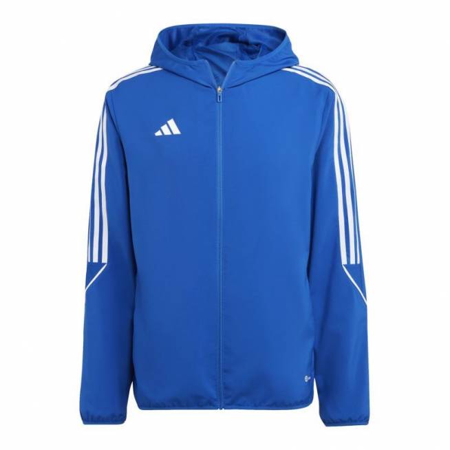 Džemperis adidas Tiro 23 League M IA1619