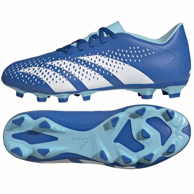 Adidas Predator Accuracy.4 FxG M GZ0010 futbolo bateliai