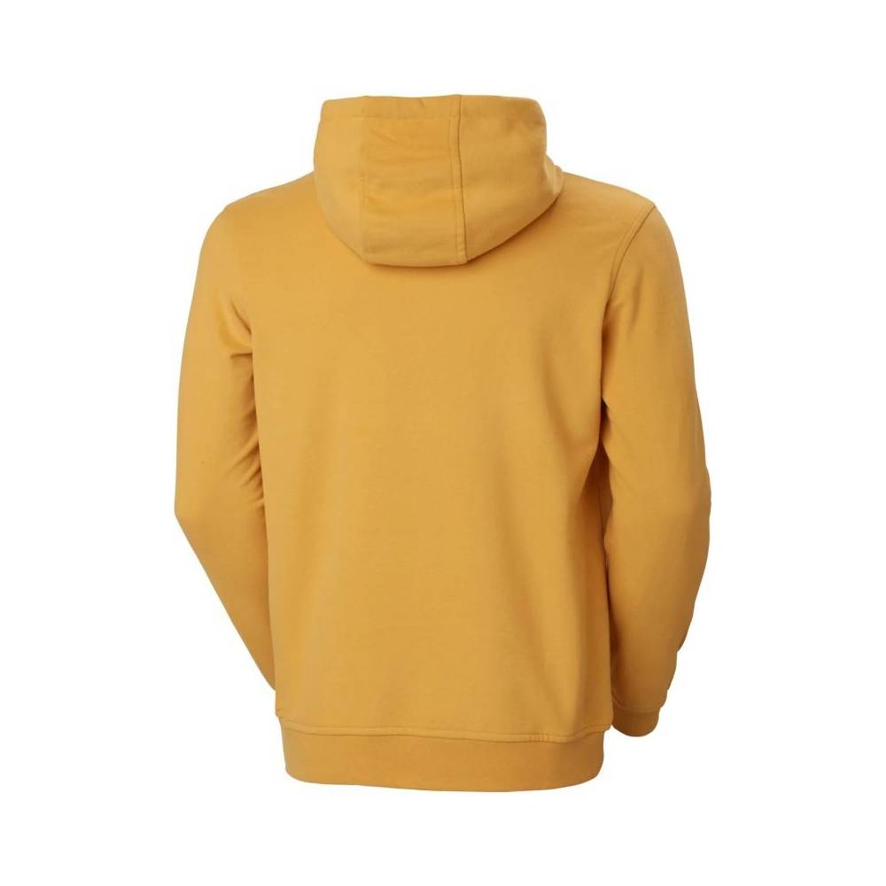 Helly Hansen Logo Hoodie M 33977-364