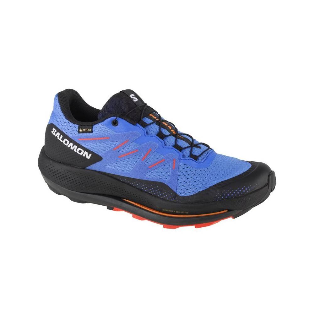 Salomon Pulsar Trail GTX M 416080 bėgimo bateliai