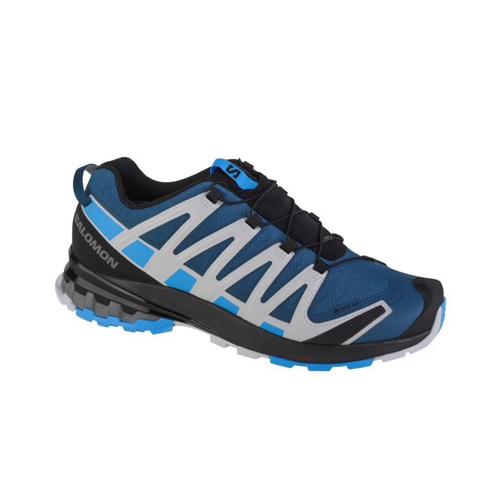 Salomon XA Pro 3D v8 GTX M 416292 bėgimo bateliai