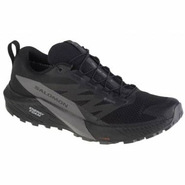 Salomon Sense Ride 5 GTX M 471472 bėgimo bateliai