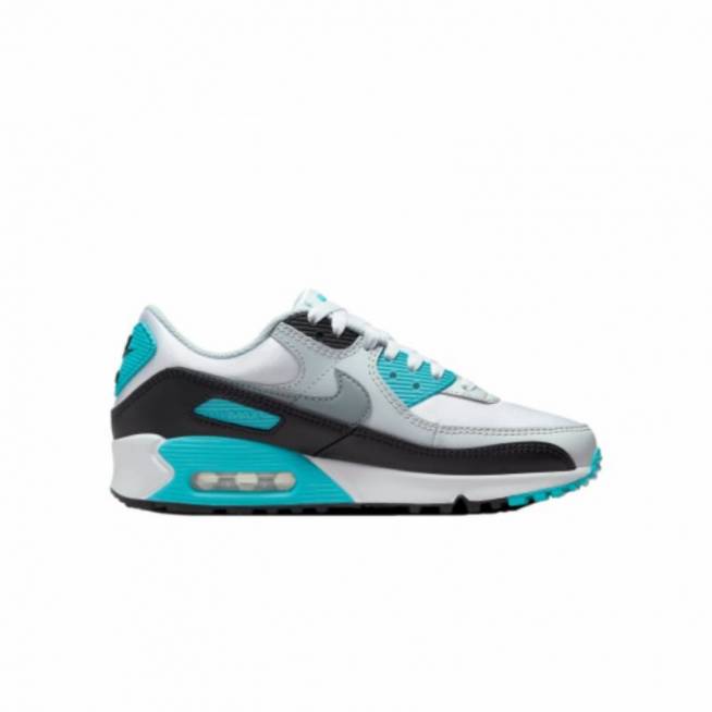 Nike Air Max 90 W FB8570-101 batai