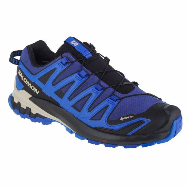 Salomon XA Pro 3D v9 GTX M 472703 bėgimo bateliai