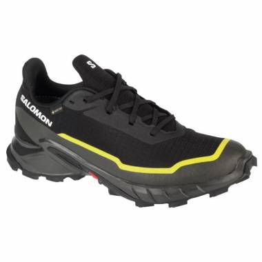 Salomon Alphacross 5 GTX M 474604 batai