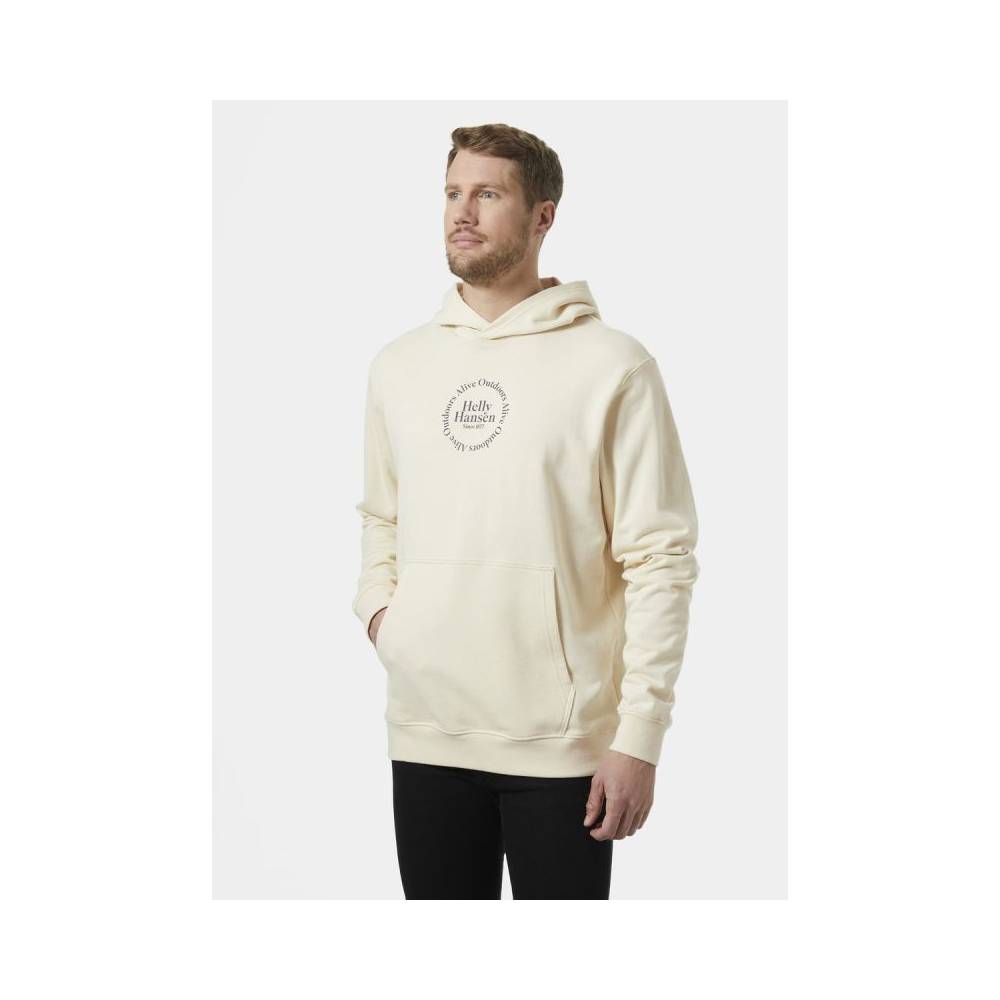 Helly Hansen Core Graphic Sweat Hoodie M 53924 034