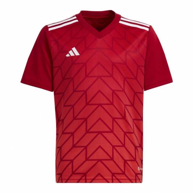 adidas Team Icon 23 Jr HR2652 marškinėliai