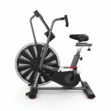 Schwinn Airdyne AD8 100475 Oro dviratis