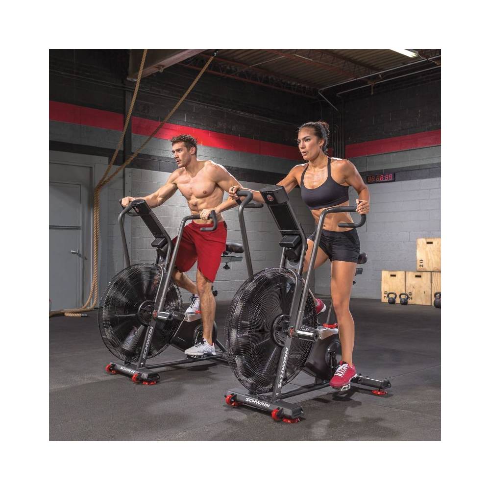 Schwinn Airdyne AD8 100475 Oro dviratis