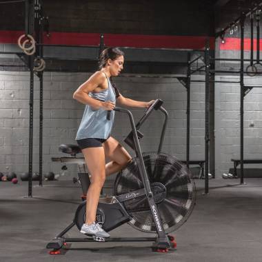 Schwinn Airdyne AD8 100475 Oro dviratis