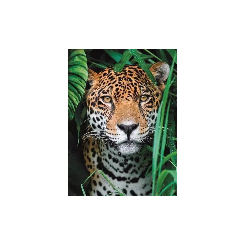 Dėlionė Clementoni Jaguar In The Jungle 35541, vaikams, 49 cm x 36 cm