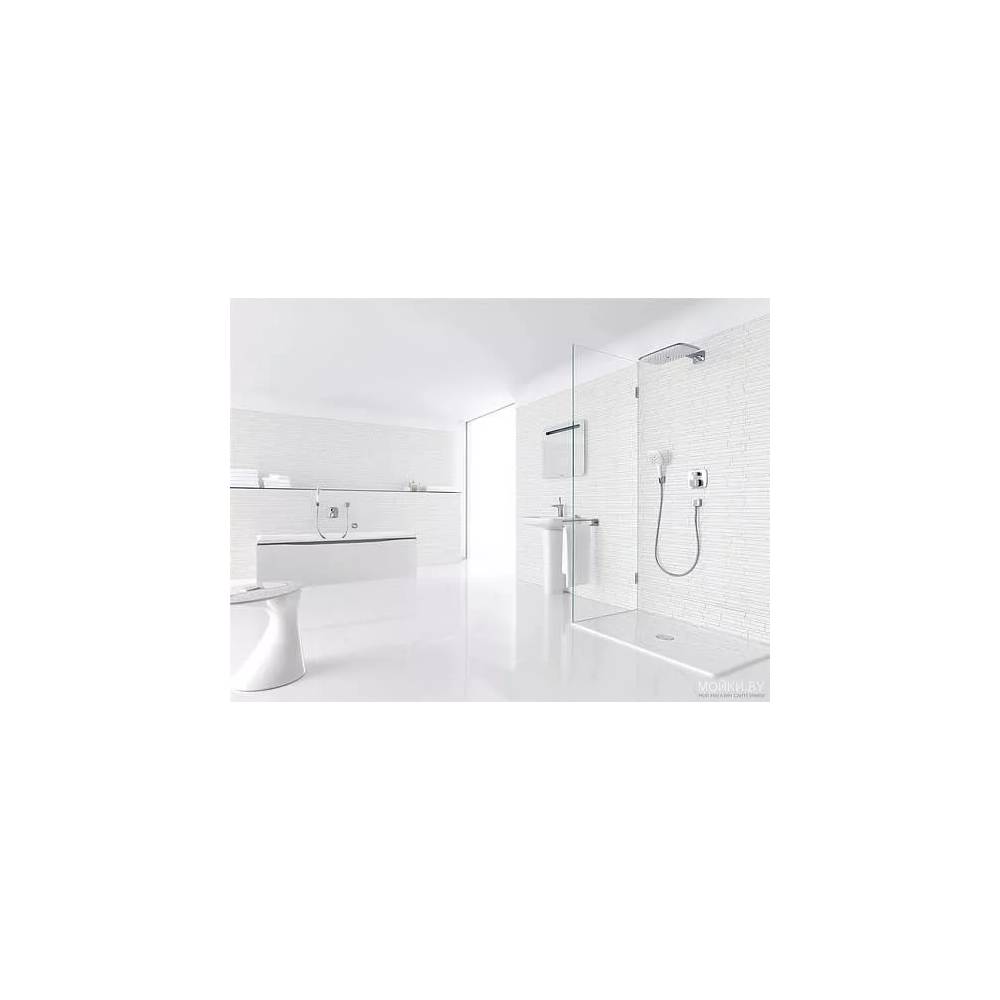 "Hansgrohe PuraVida" rankinis dušas 28557400