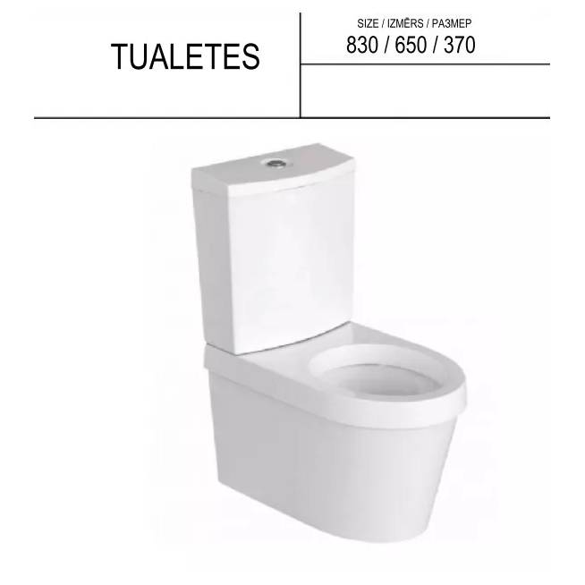 Tualeto dubuo + dangtelis