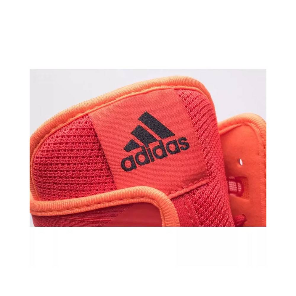 Bokso bateliai adidas BOX HOG 4 M GW1403