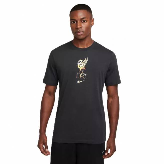 Nike Liverpool FC Crest marškinėliai M HQ0266-070