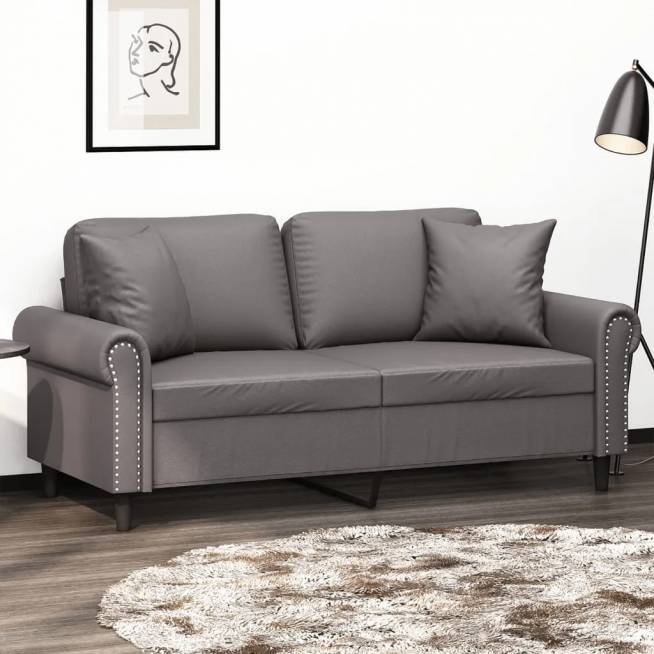 Dvivietė sofa su pagalvėlėmis, dirbtinė oda