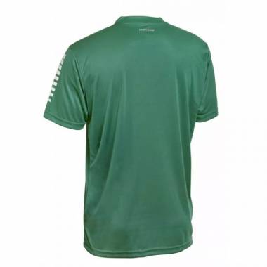 Select Pisa U T-shirt T26-01668 green