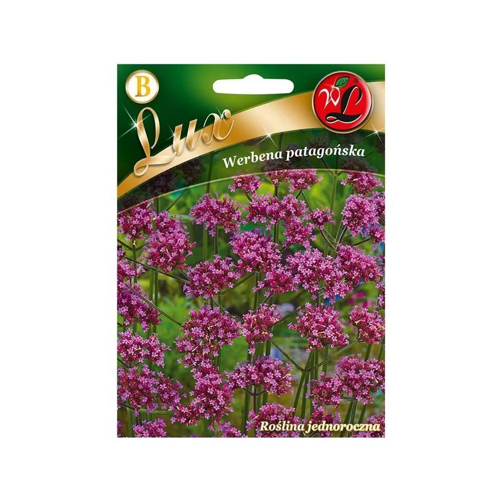 Sėklos Lux verbena bonariensis