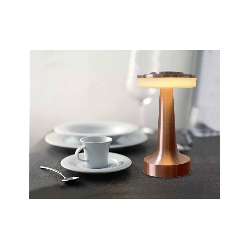 Stalinis šviestuvas Domoletti Rodeo ETLED-53C COPPER, LED, nešiojamas, 0.5W