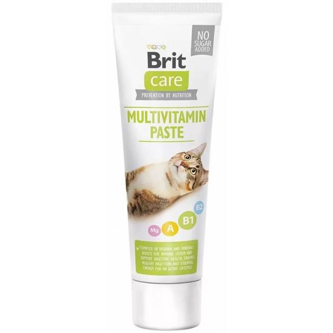 Skanėstas katėms Brit Care, 0.1 kg