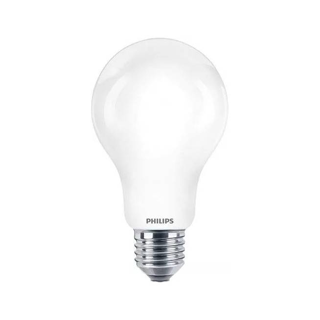 Lemputė Philips LED, A67, šaltai balta, E27, 13 W, 2000 lm