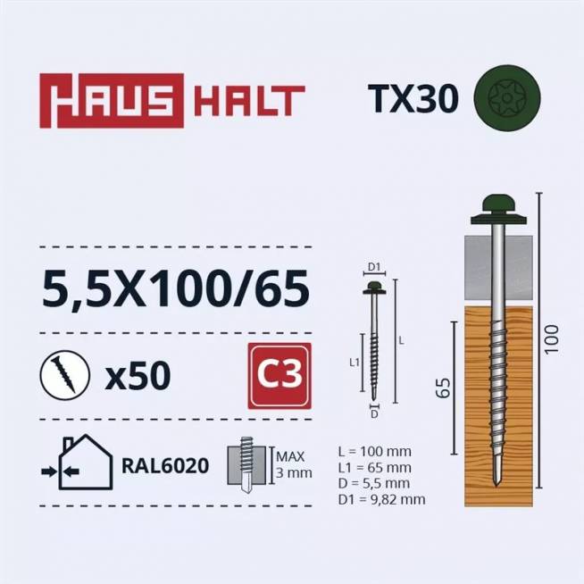 Savisriegis Haushalt DIN 7504N, 5.5 mm x 100 mm/65 mm, 50 vnt.