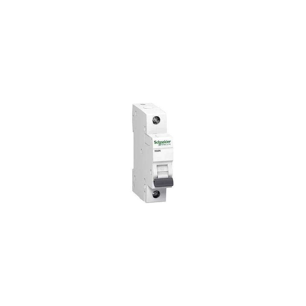 Jungiklis Schneider Electric, 2 A