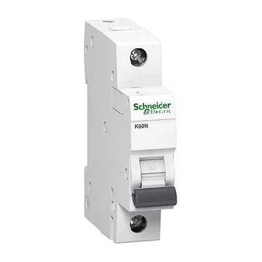 Jungiklis Schneider Electric, 2 A