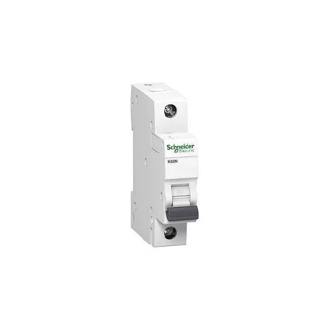 Jungiklis Schneider Electric, 25 A