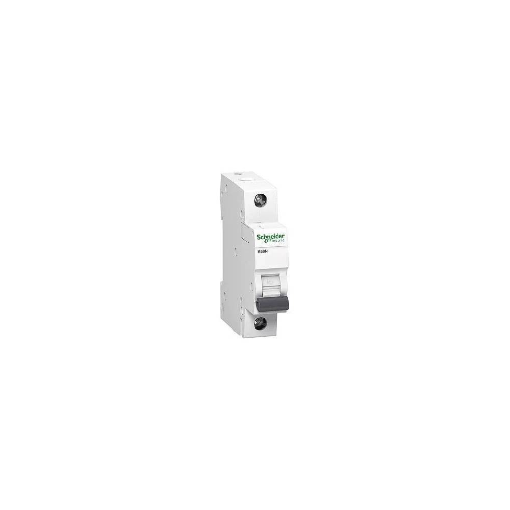 Jungiklis Schneider Electric, 25 A