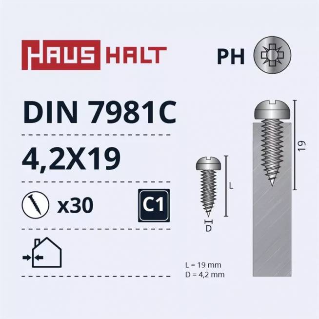 Savisriegis Haushalt DIN7981C, 4.2 mm x 19 mm, 30 vnt.