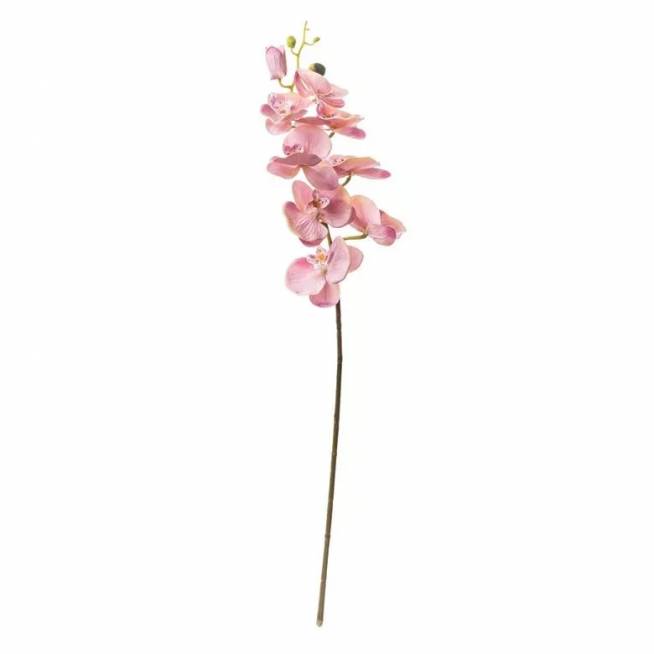 Dirbtinė gėlė, orchidėja Domoletti 365-1SD, įvairių spalvų, 77 cm x 6 cm