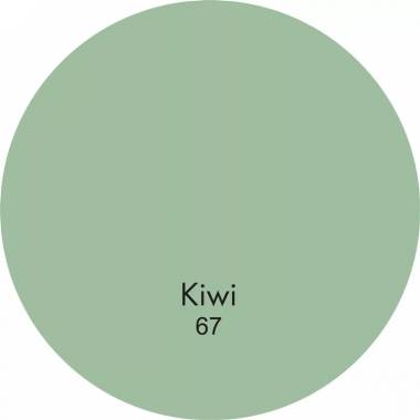 Glaistas siūlėms Ceresit CE40 KIWI, sandarinamasis, žalia, 2 kg