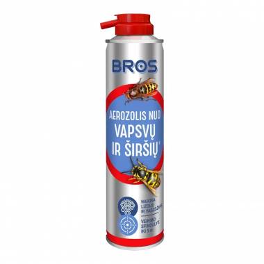 Aerozolis Bros, 300 ml