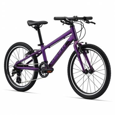 GIANT ARX 20 20" // 8G (violetinė)