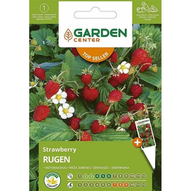 Sėklos Garden Center, žemuogės Rugen, 0.1 g