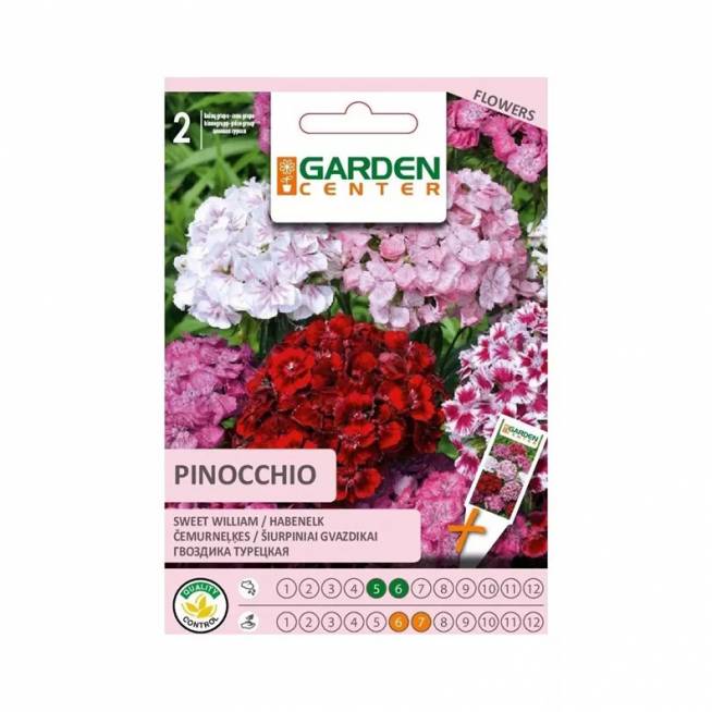 Sėklos Garden Center gvazdikas Pinocchio, 0.5 g