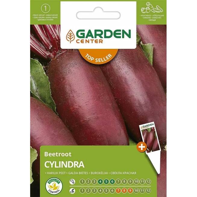 Sėklos Garden Center, burokėliai Cylindra, 5 g