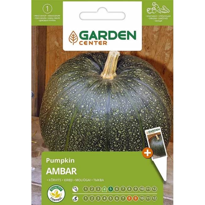 Sėklos Garden Center, moliūgai Ambar, 2 g