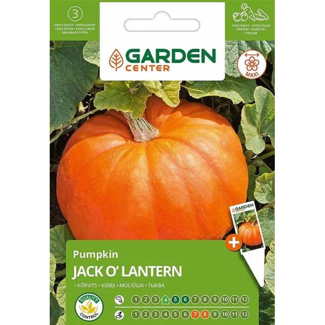 Sėklos Garden Center, moliūgai JACK O'LANTERN, 2 g