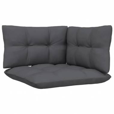 Dvivietė sodo sofa su pagalvėlėmis, pušies masyvas